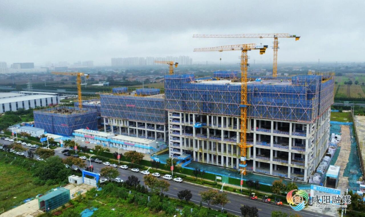 1760325385818635.jpg 微信图片_2025-10-13_111253_887.jpg